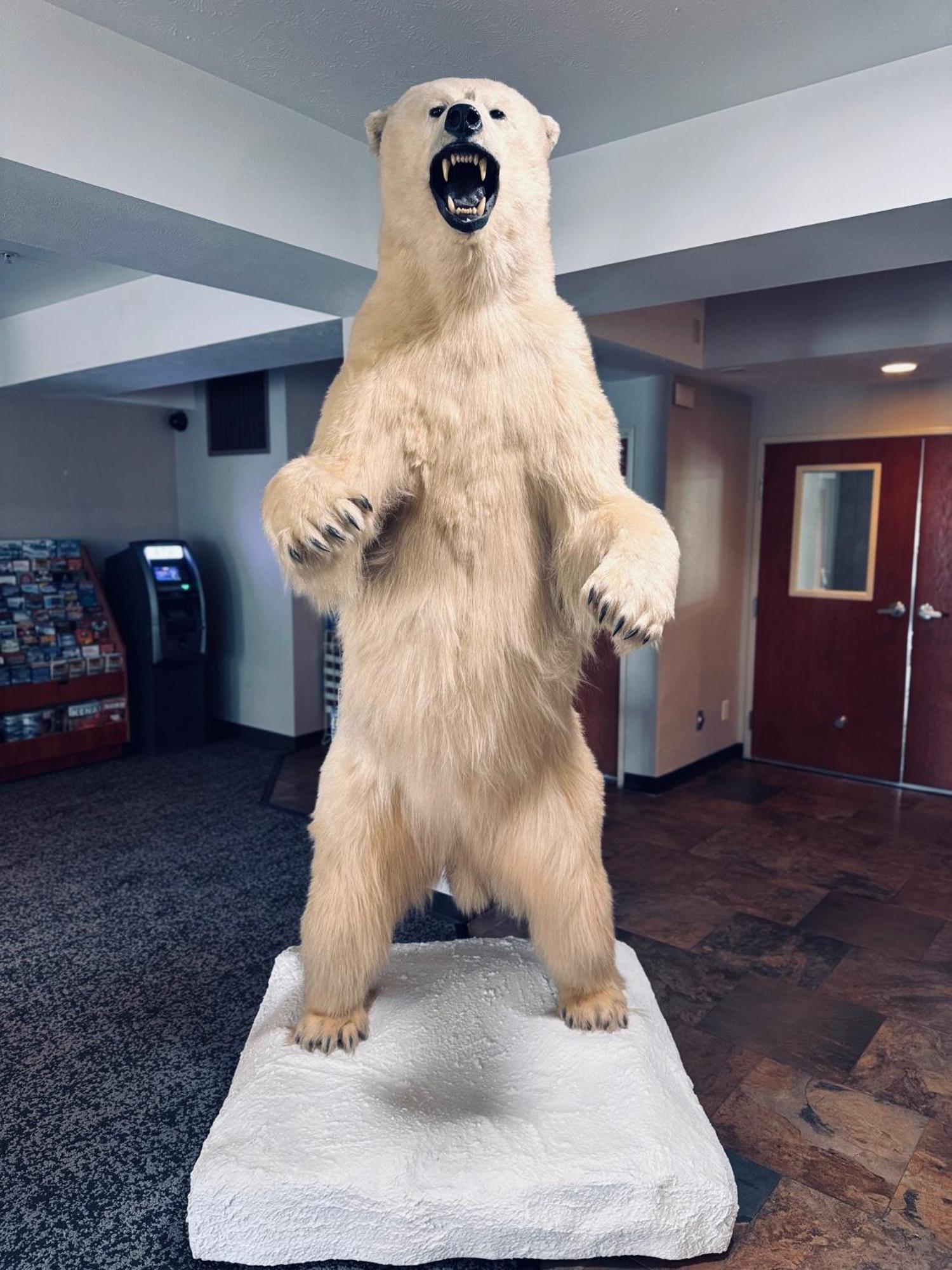 Отель Wyndham Garden Anchorage Airport Экстерьер фото